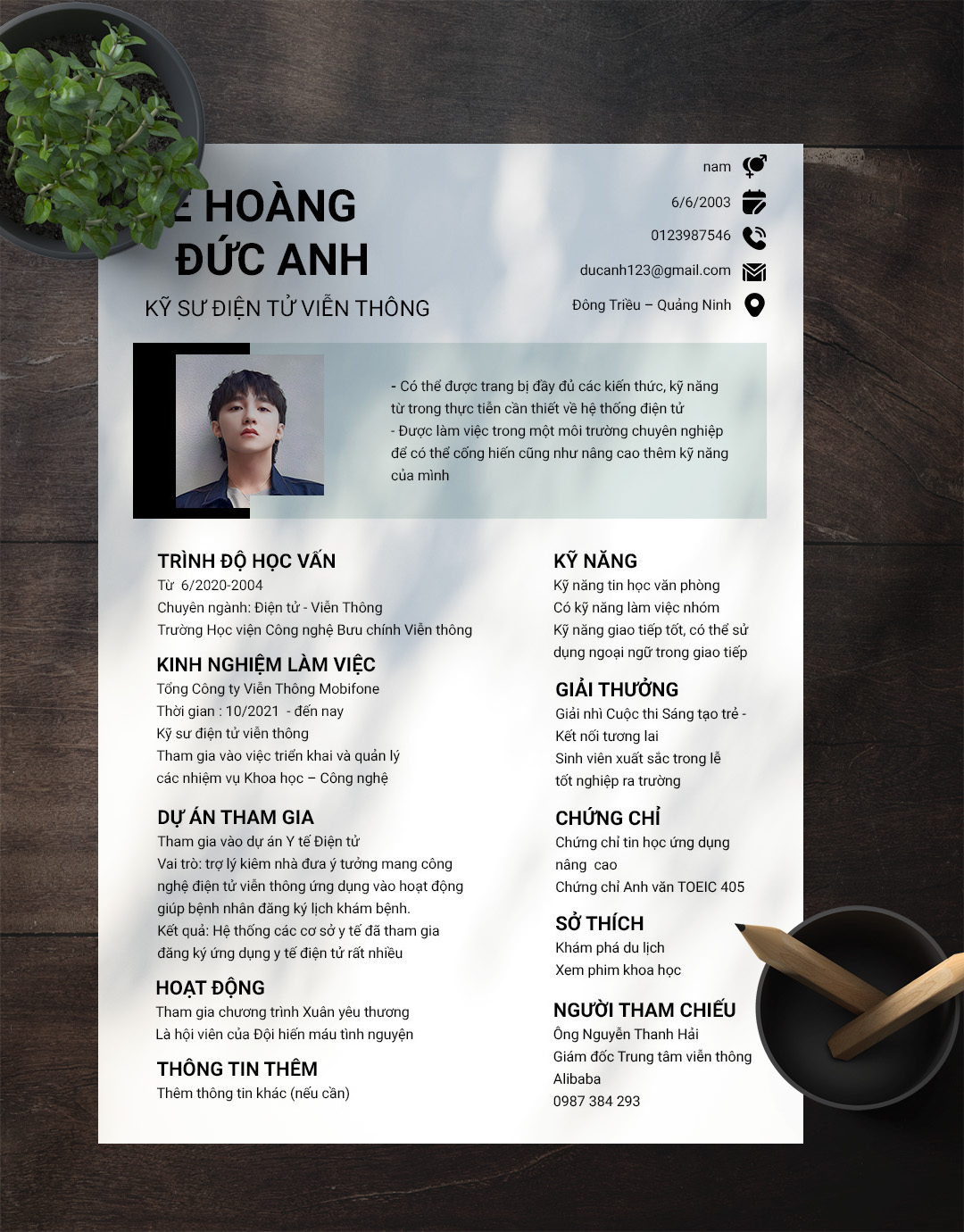 Mẫu CV Developers 01