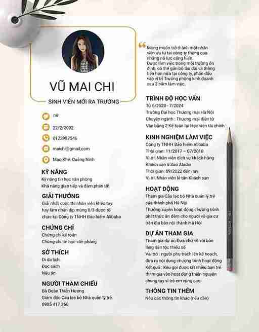 Mẫu CV Xây dựng 02