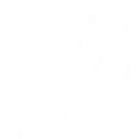 Nguyễn Bùi Nguyên Long Cơ