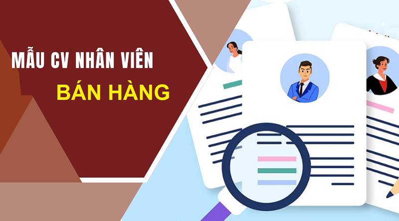 Vai trò của mẫu CV nhân viên bán hàng được thể hiện như thế nào?