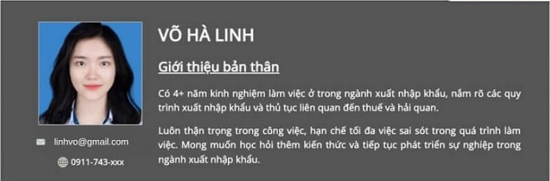 Cách viết CV xuất nhập khẩu