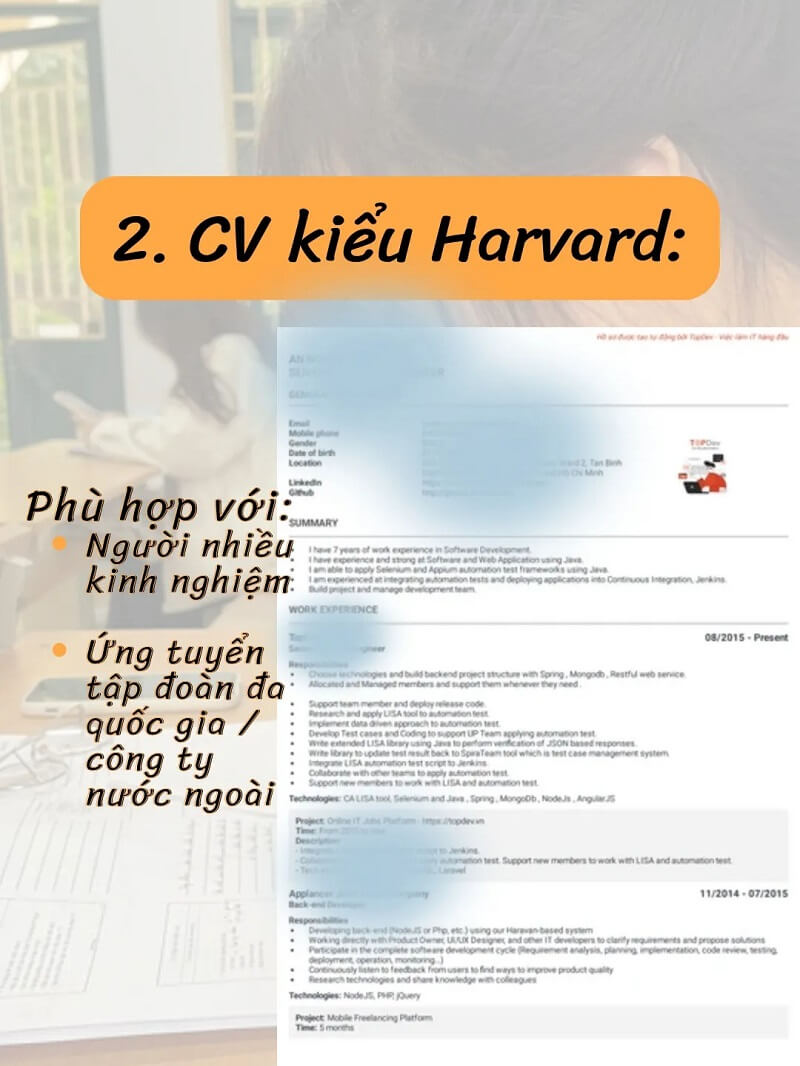 CV Harvard chuẩn