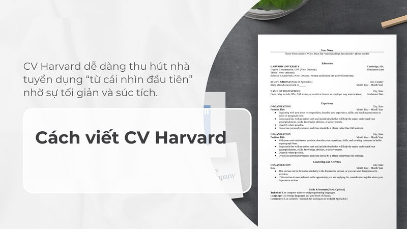 Cách viết CV xin việc harvard chuyên nghiệp