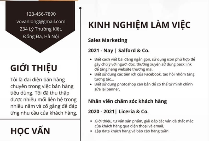 Kinh nghiệm trong mẫu CV nhân viên kinh doanh