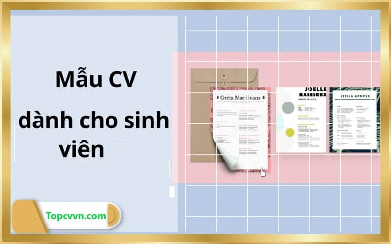 Tổng hợp các mẫu CV đơn giản cho sinh viên