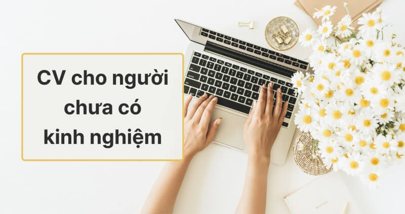 Mẹo trình bày CV dành cho người chưa có kinh nghiệm